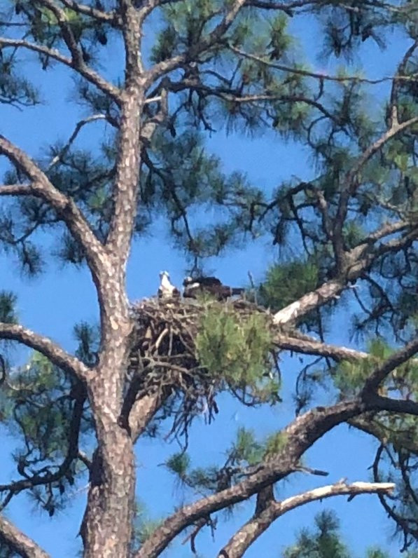 Lost Key Golf Club-Perdido Key必去景点