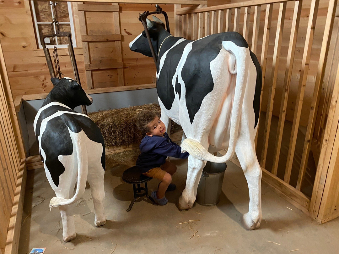 Pembina County Museum-Cavalier必去景点