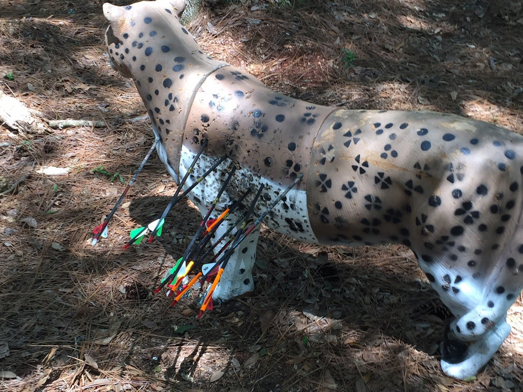 Tampa Bay Sporting Clays and Archery-Land O Lakes必去景点