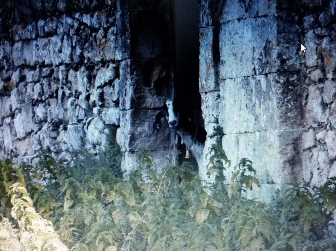 Castello Requesenz-Buscemi必去景点