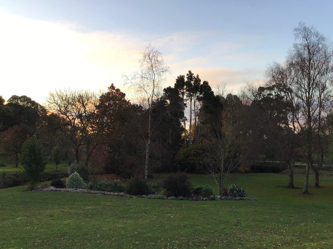 泰勒廷伯斯塔斯马尼亚岛酒店主图