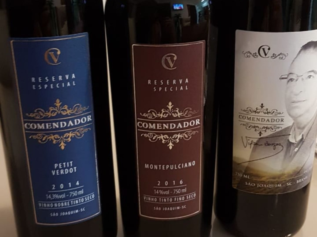 Casa do vinho - Matriz - São Joaquim - SC景点图片