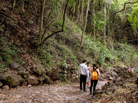 Recorridos de Autor-瓜达拉哈拉必去景点