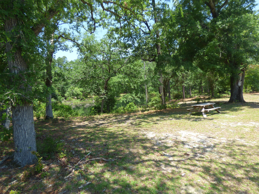 Aiken State Park-艾肯必去景点