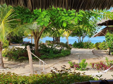 Marafiki Bungalows主图