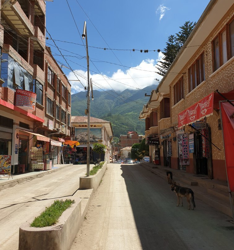 Hotel el Toro Bravo主图