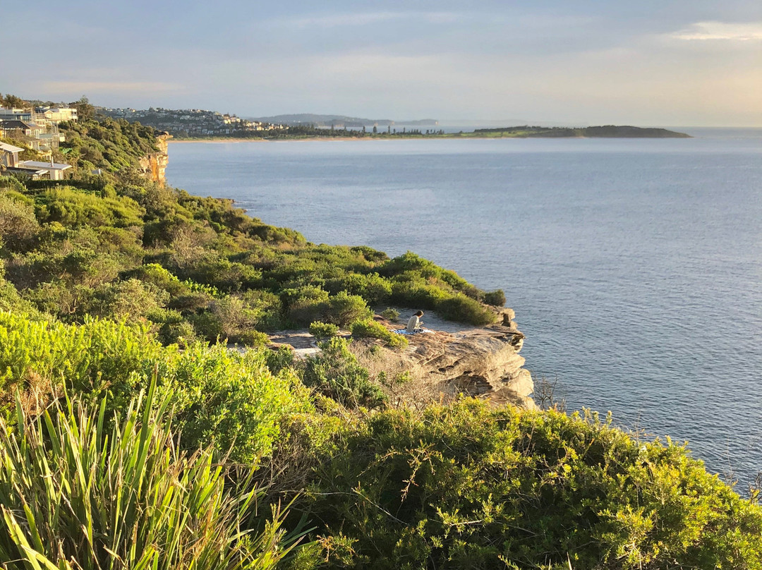 Curl Curl to Freshwater Beach Coastal Walk景点图片