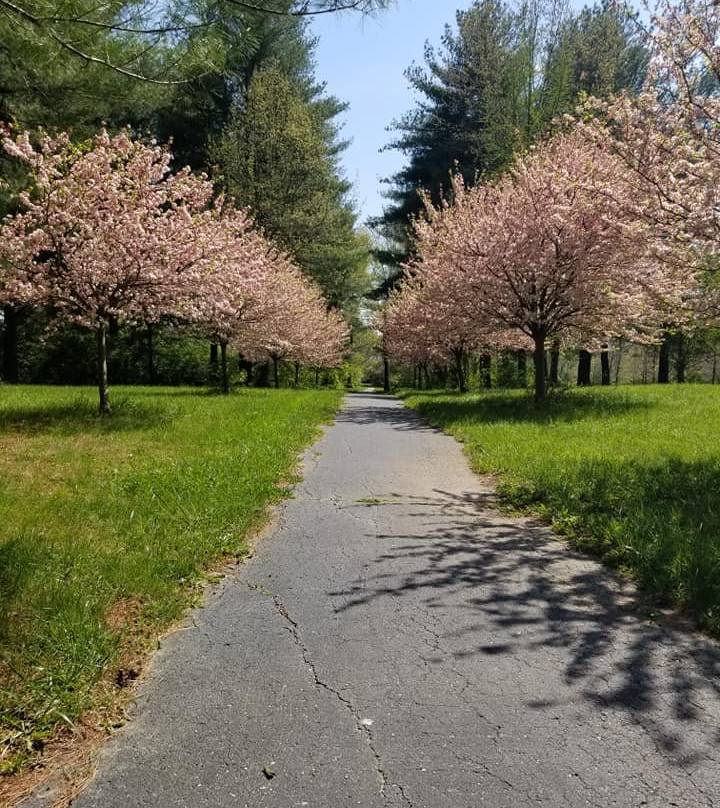 Pine Street Nature Trail景点图片