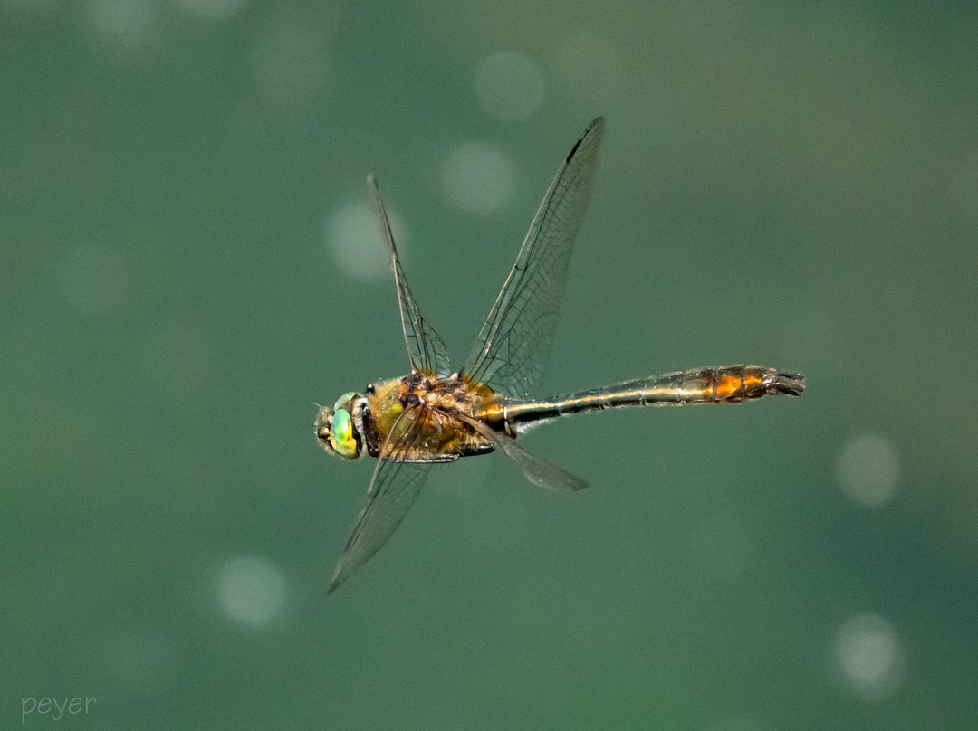 Turlersee-Hausen am Albis必去景点
