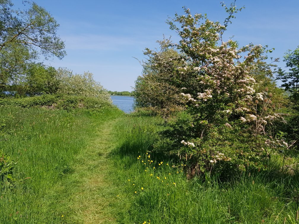 RSPB Fen Drayton Lakes景点图片