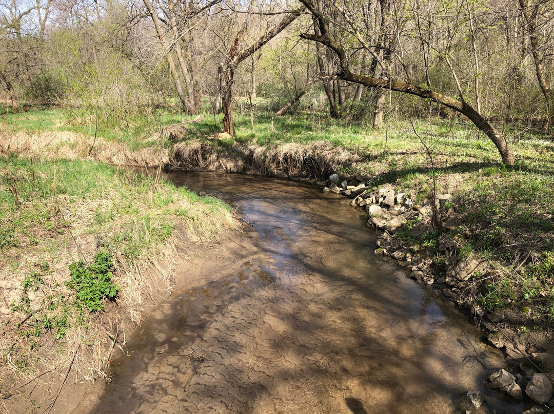 Nerstrand Big Woods State Park景点图片