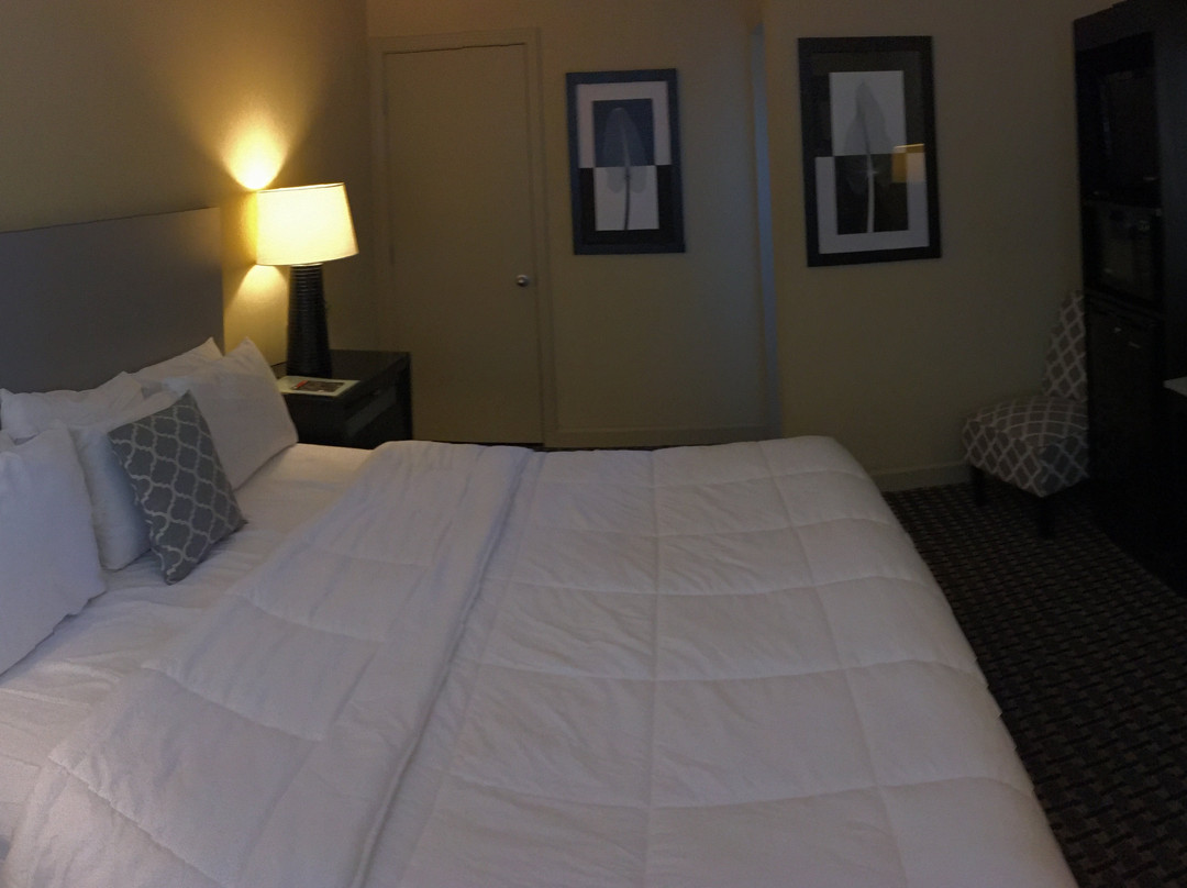 Sole Inn and Suites主图