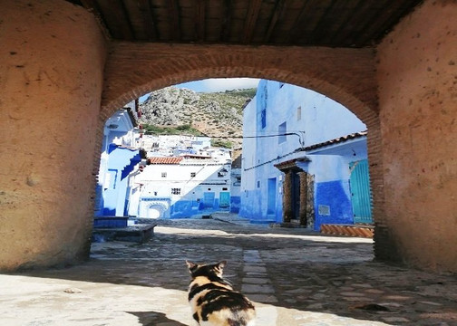 Morocco Ecoway-索维拉必去景点