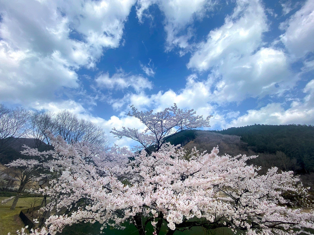 Onzui Lake景点图片