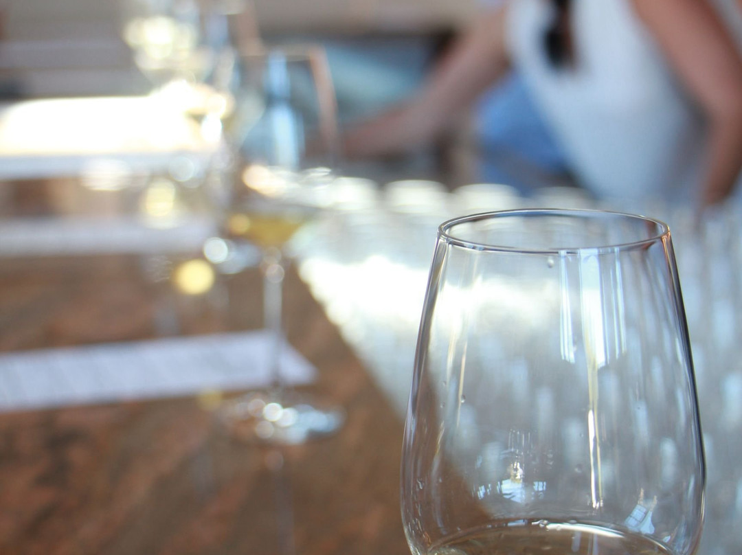 Nicholson Ranch-索诺玛必去景点