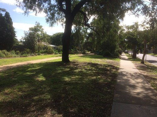 Alexander Park-Hampton必去景点