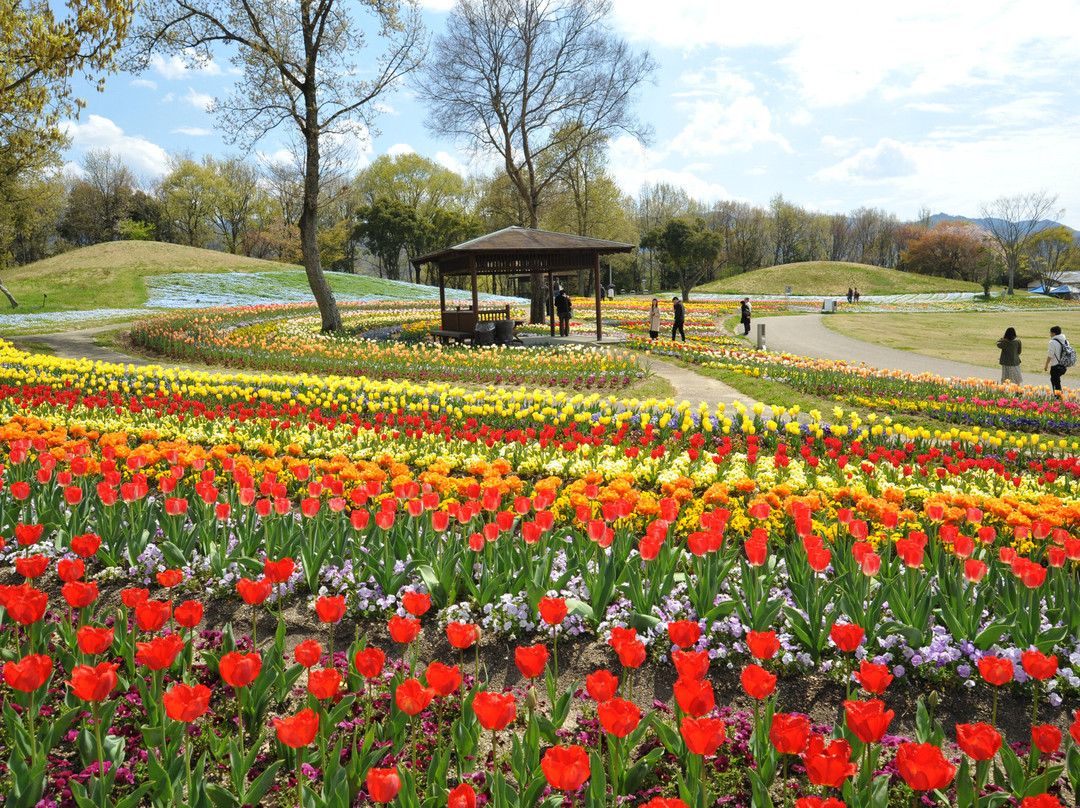 Sanuki Manno Park-满浓町必去景点