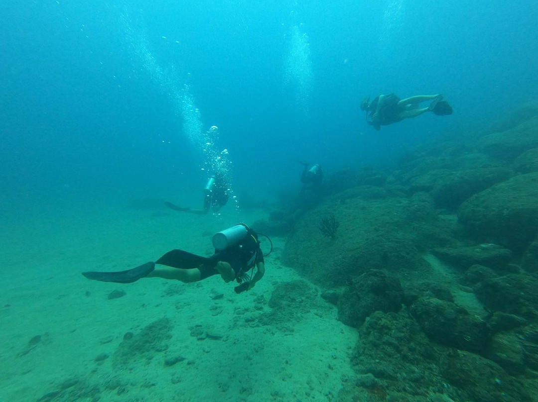 Divers Land Dive Club景点图片