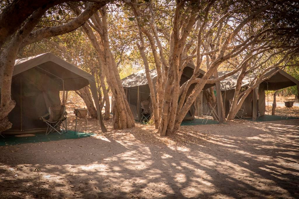 Savute Reserve-Chobe National Park必去景点