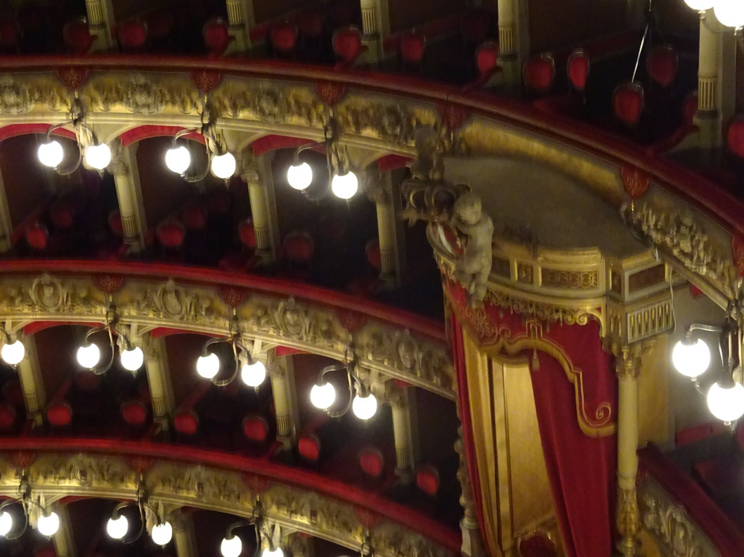 Teatro Massimo Bellini景点图片