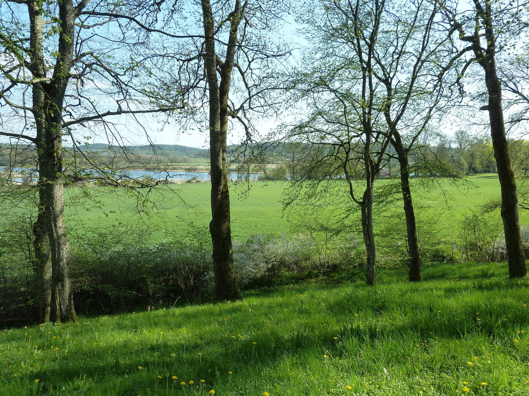 Naturreservatet Gota Och Nordre Alvs Dalgangar景点图片