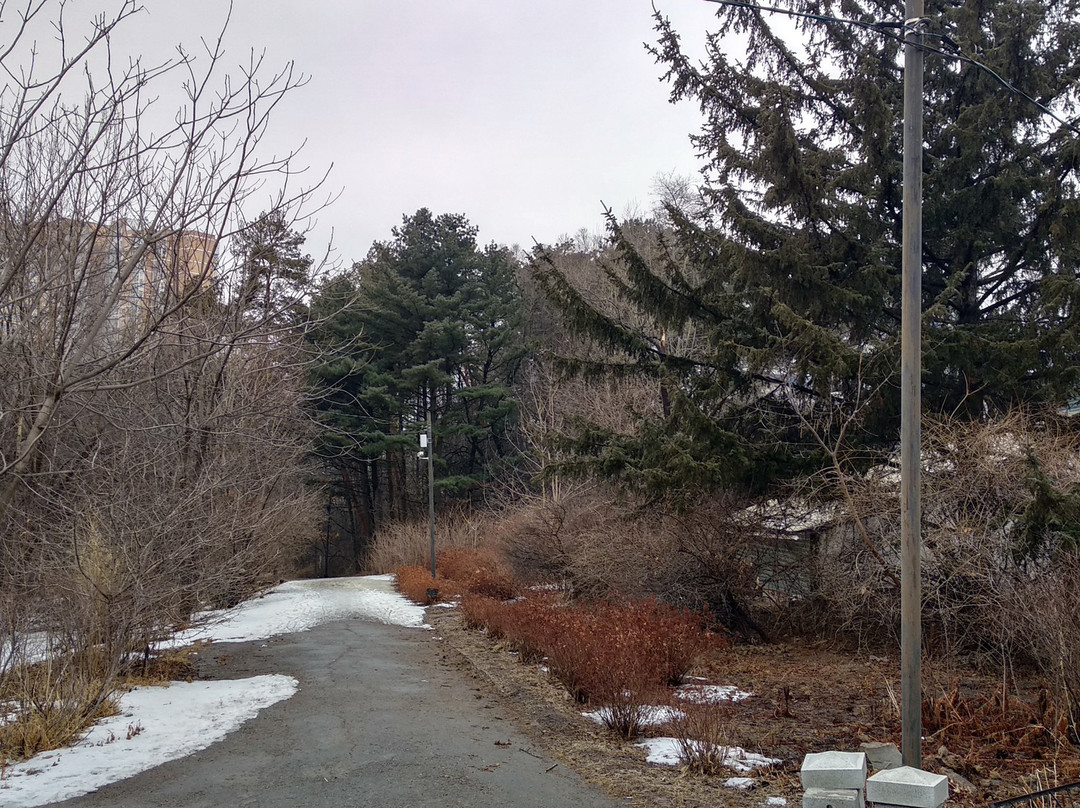 Khabarovsk Arboretum-哈巴罗夫斯克必去景点