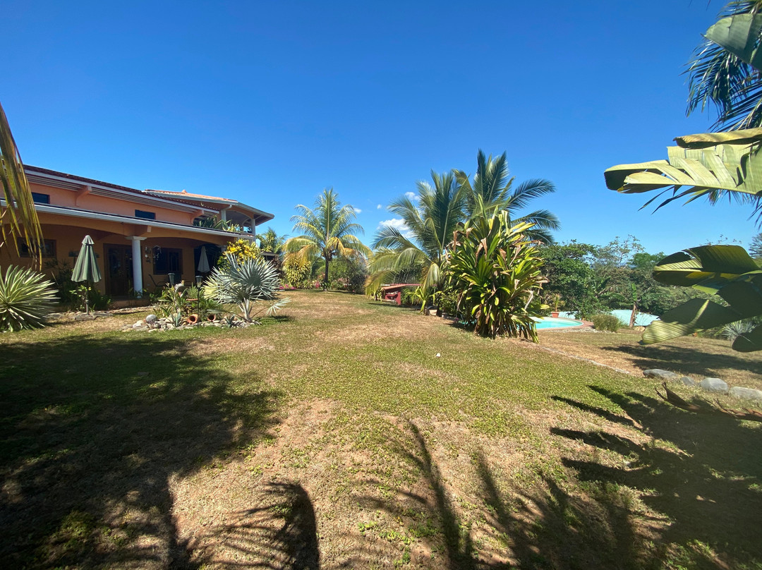 Finca Buena Vista主图