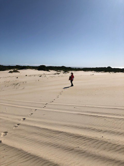 Henty Dunes-斯特拉恩必去景点