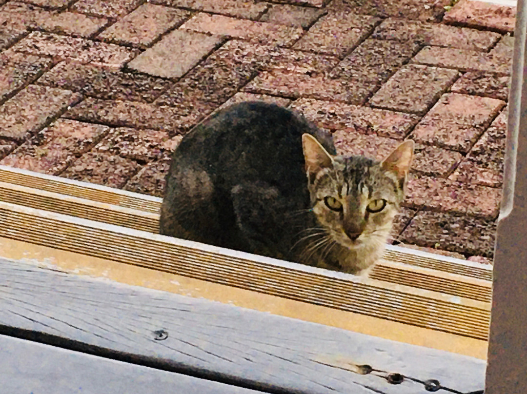 埃斯梅拉达度假村主图