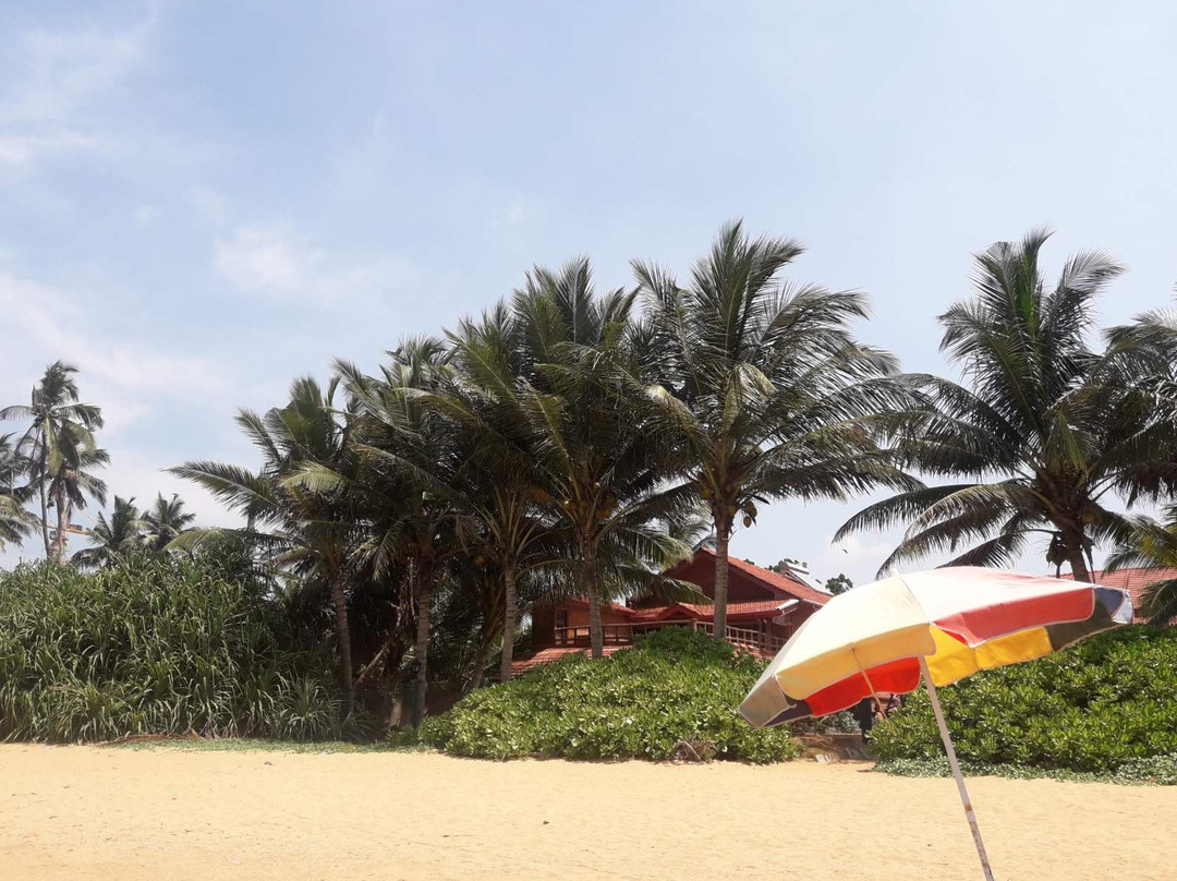 Dhammika Magic Palace主图