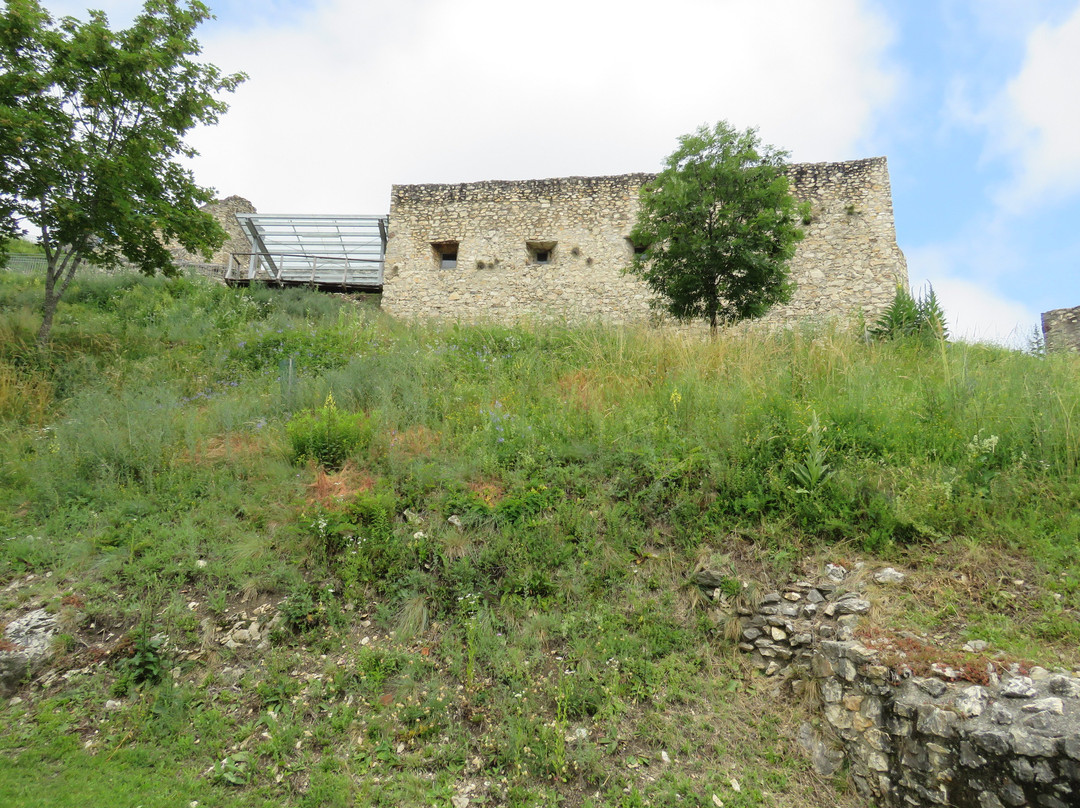 Burg Griffen景点图片
