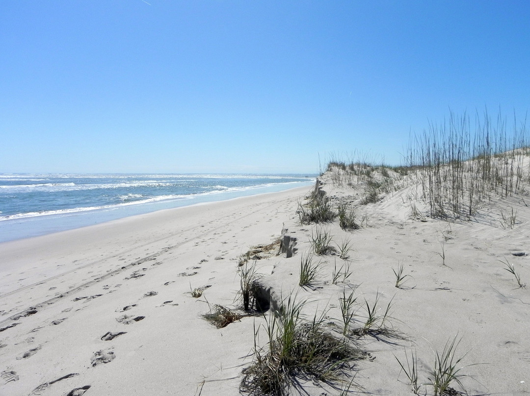 Bald Head Island Information Center景点图片