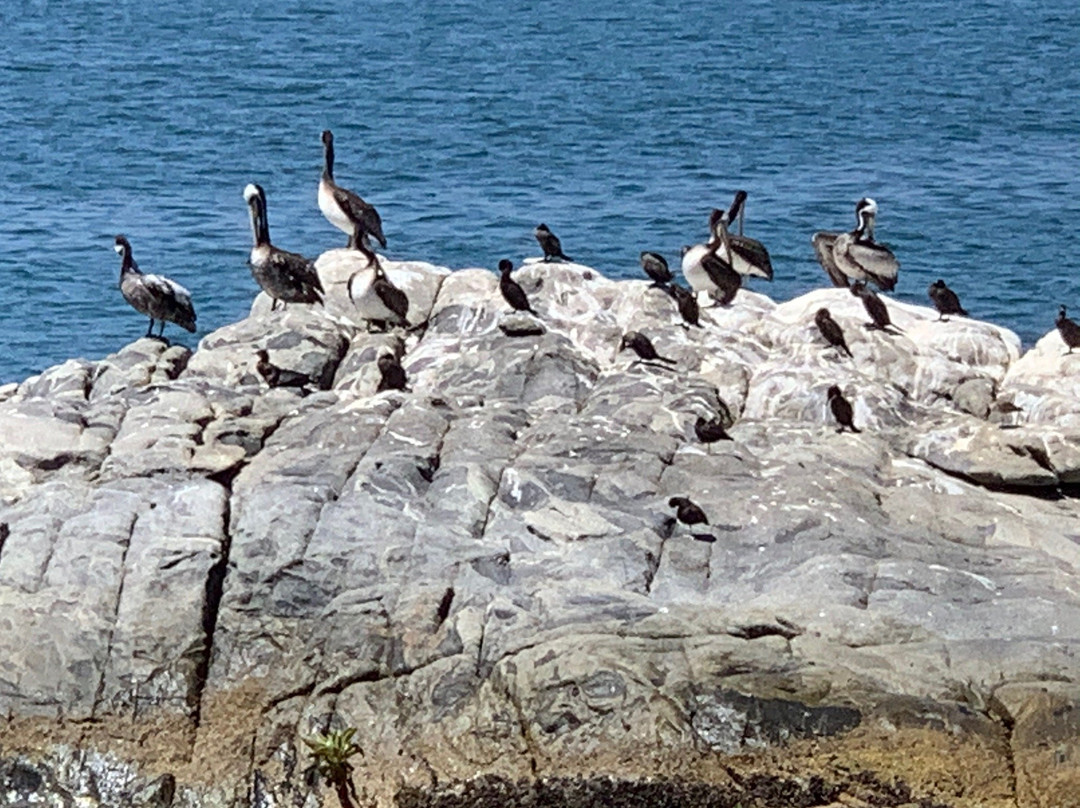 La Cueva del Pirata-Quintero必去景点