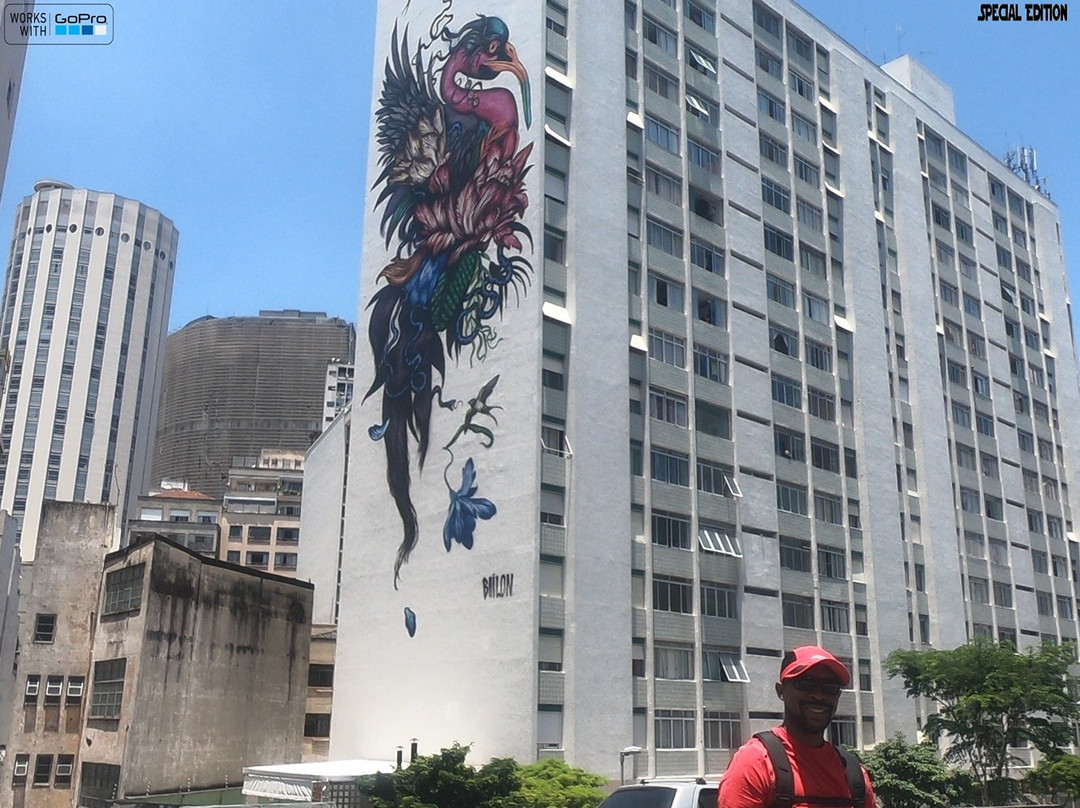 Elevado Presidente Joao Goulart-圣保罗必去景点