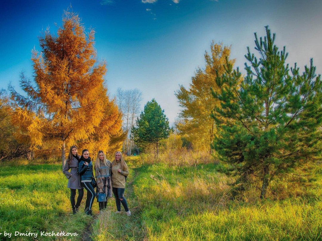 Silinskiy Park of Leisure And Recreation-Komsomolsk-on-Amur必去景点