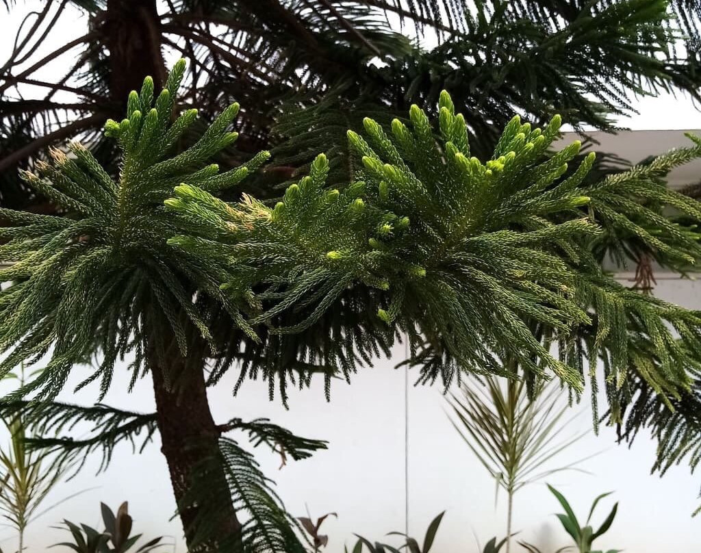 Greeting Indonesia-雅加达必去景点