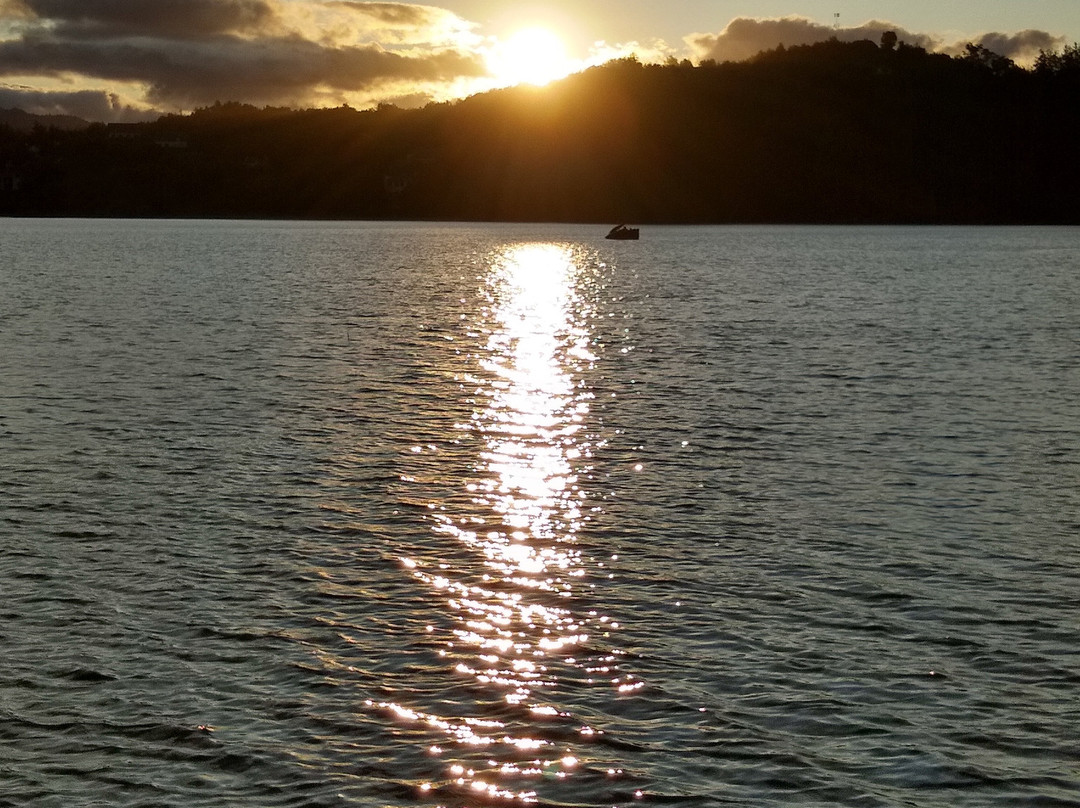 Lago Alumine景点图片