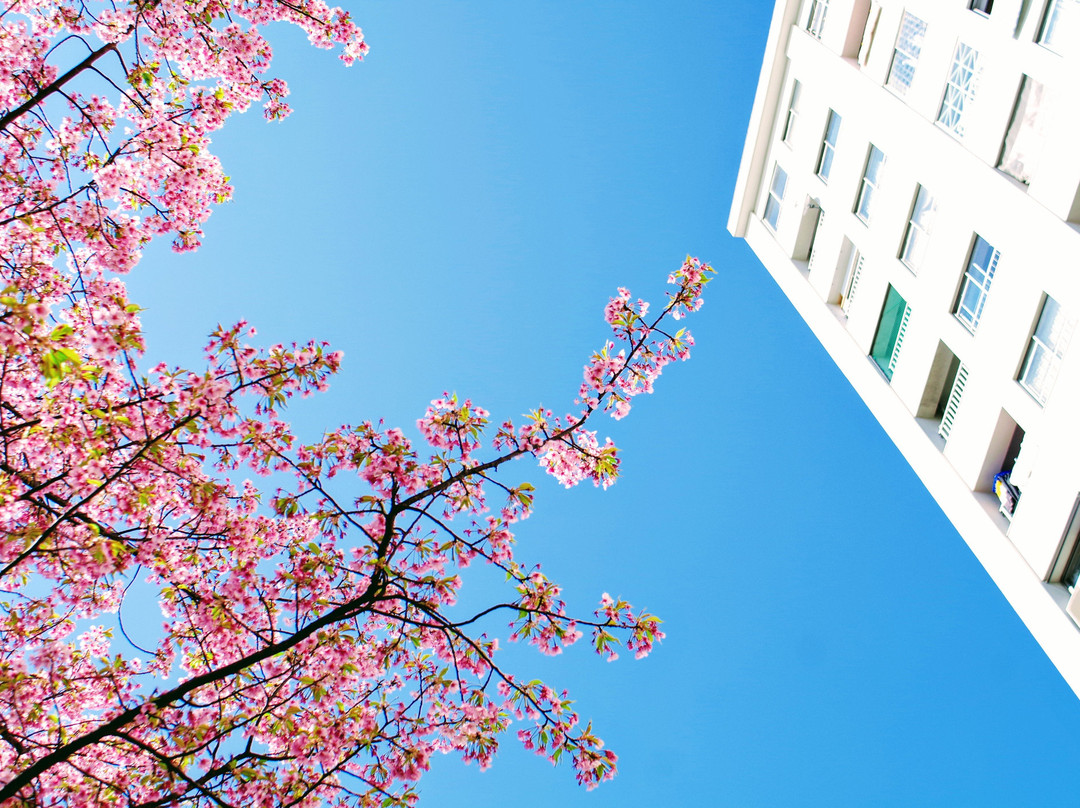 Kyunaka River-墨田区必去景点