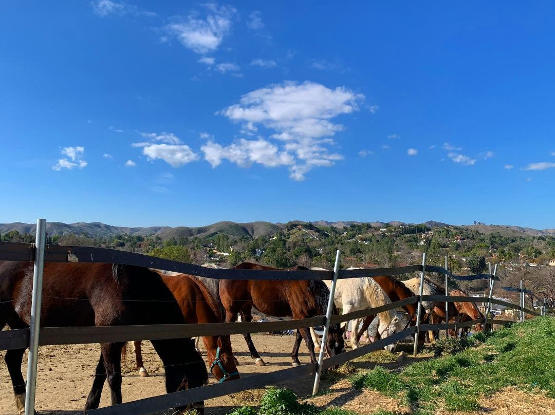 Malibu Riders-阿古拉山必去景点