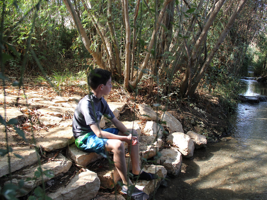 Park of Springs-Nir David必去景点