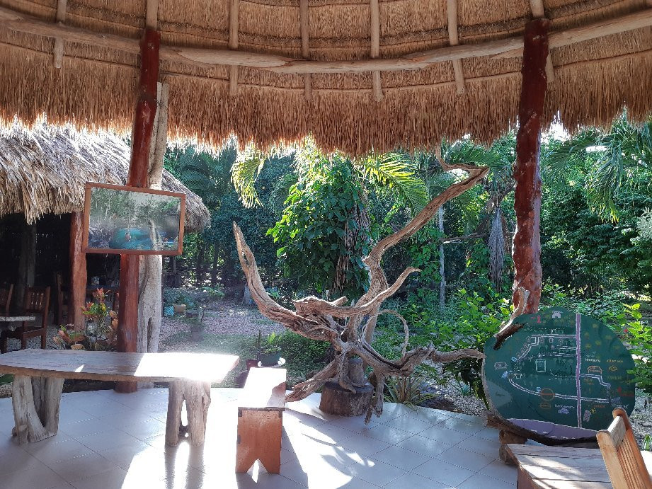 Kiichpam Kaax-Selva Bonita主图