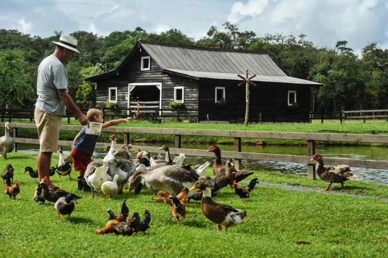 Joinville旅游景点-Rancho Alegre