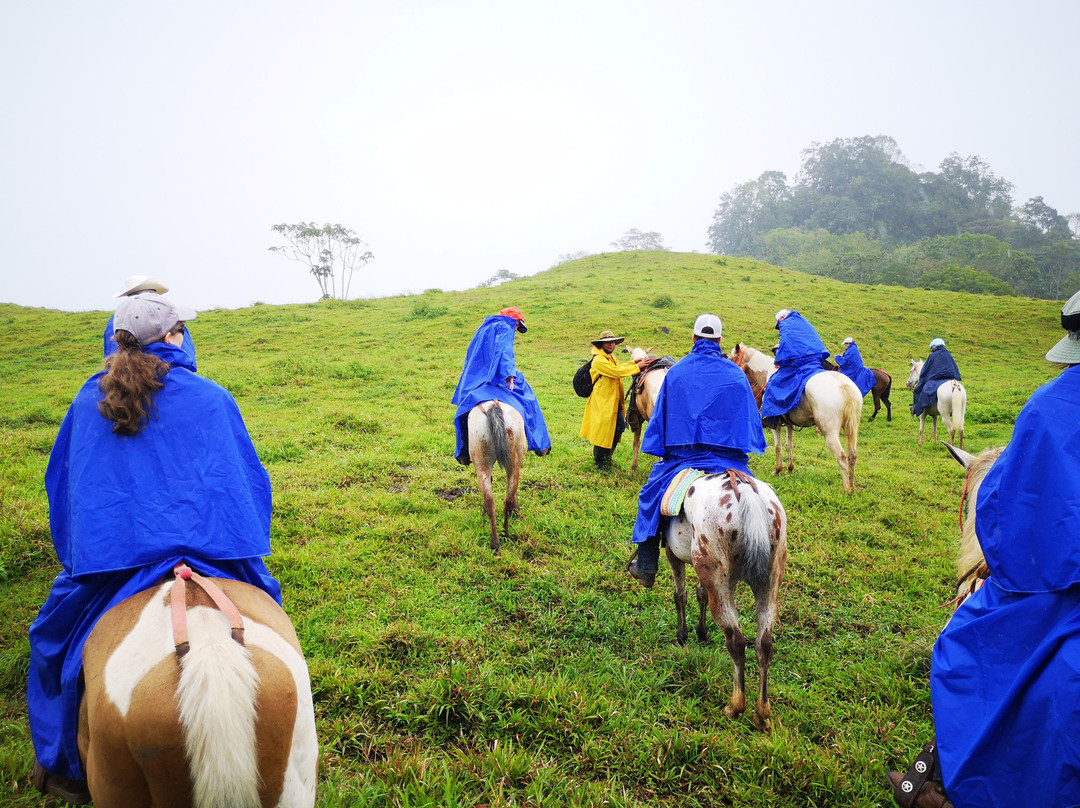 Sabanero Horse Ventures景点图片