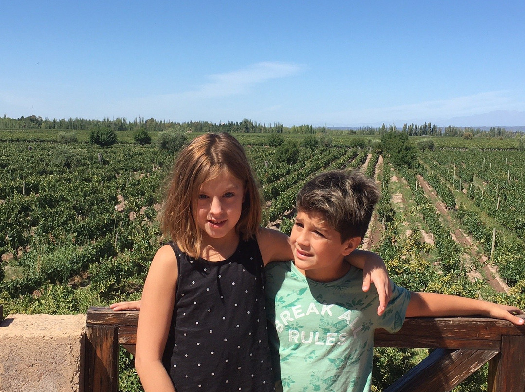 Guest House EL Tata - Posada主图