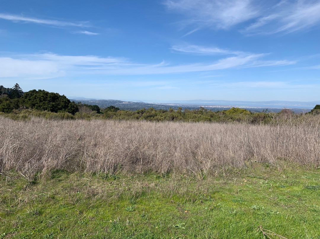 Windy Hill Open Space Preserve-洛思阿图斯必去景点