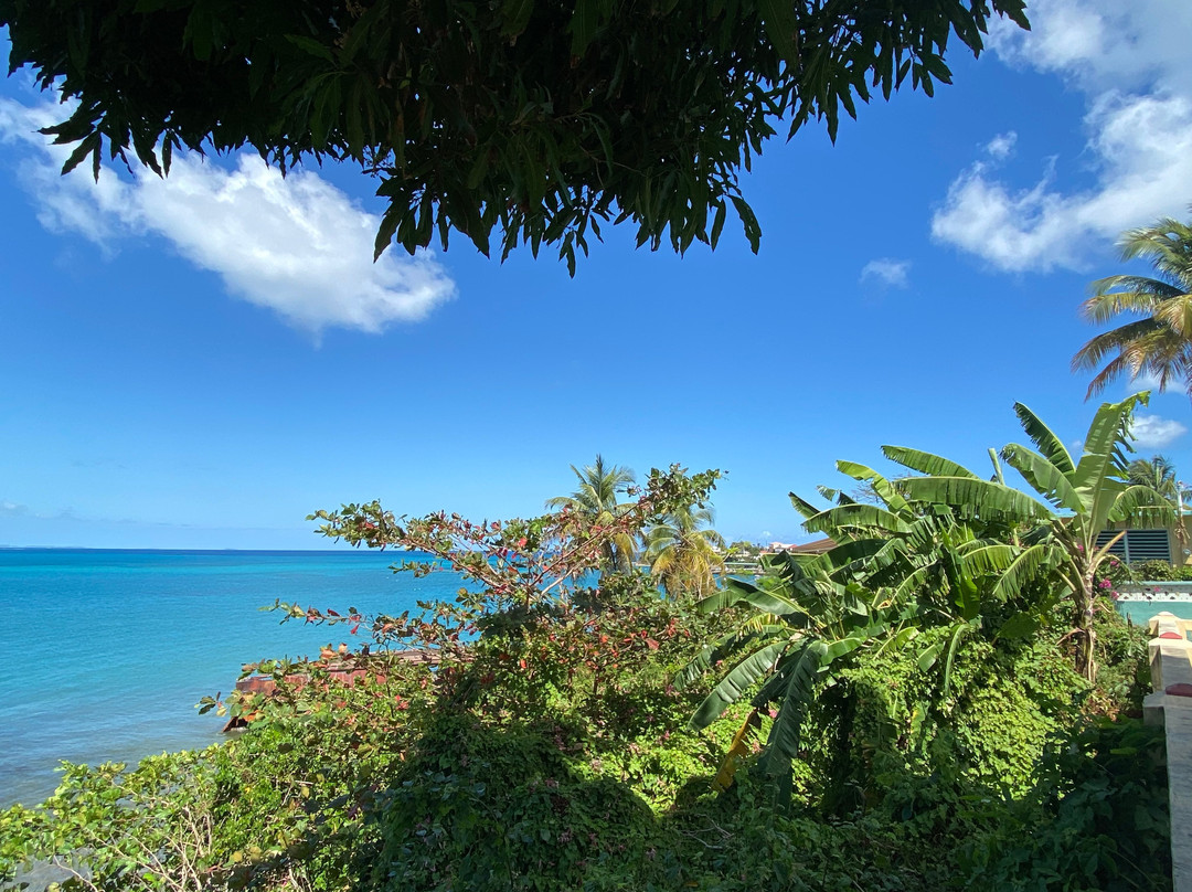 Isla Hermosa Guesthouse主图