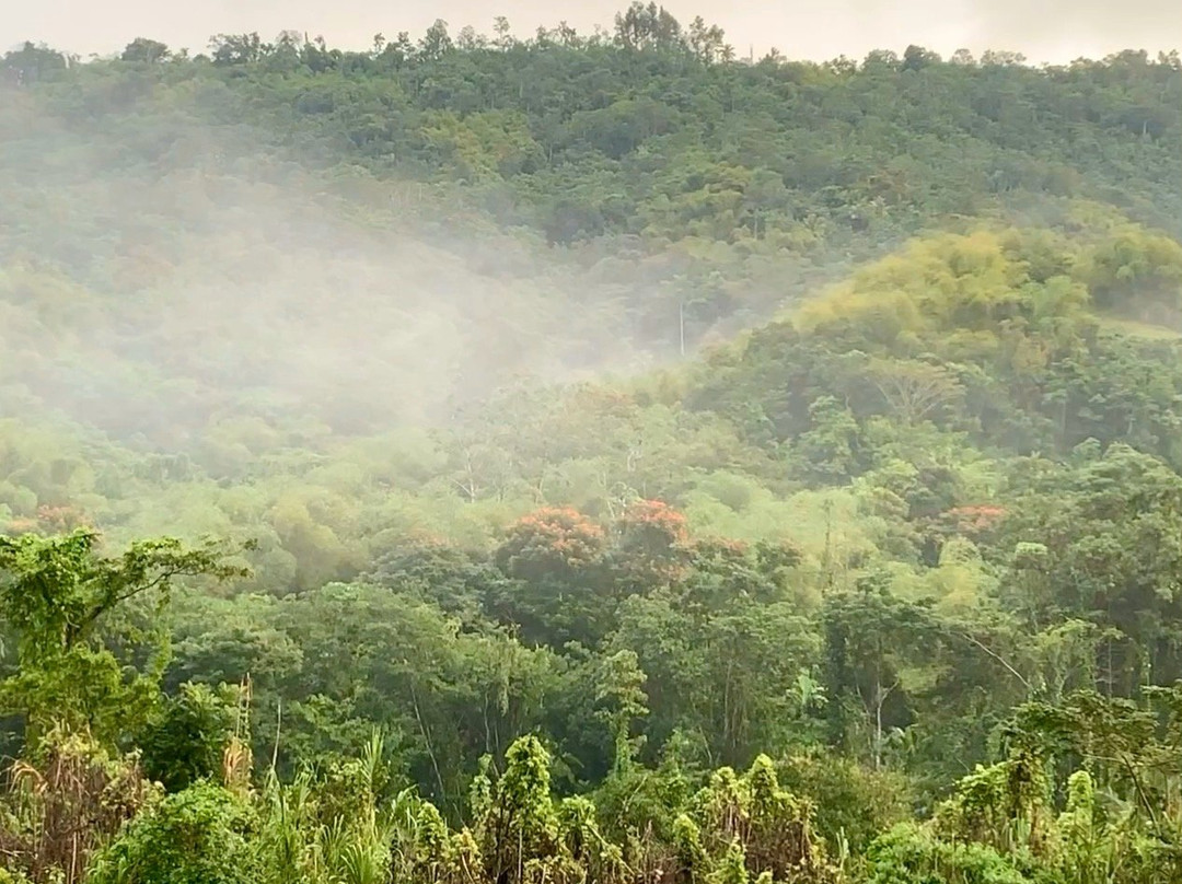 Portland's Riverside Retreat主图