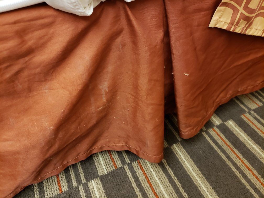 大学医学园区温德姆麦克罗特套房酒店主图