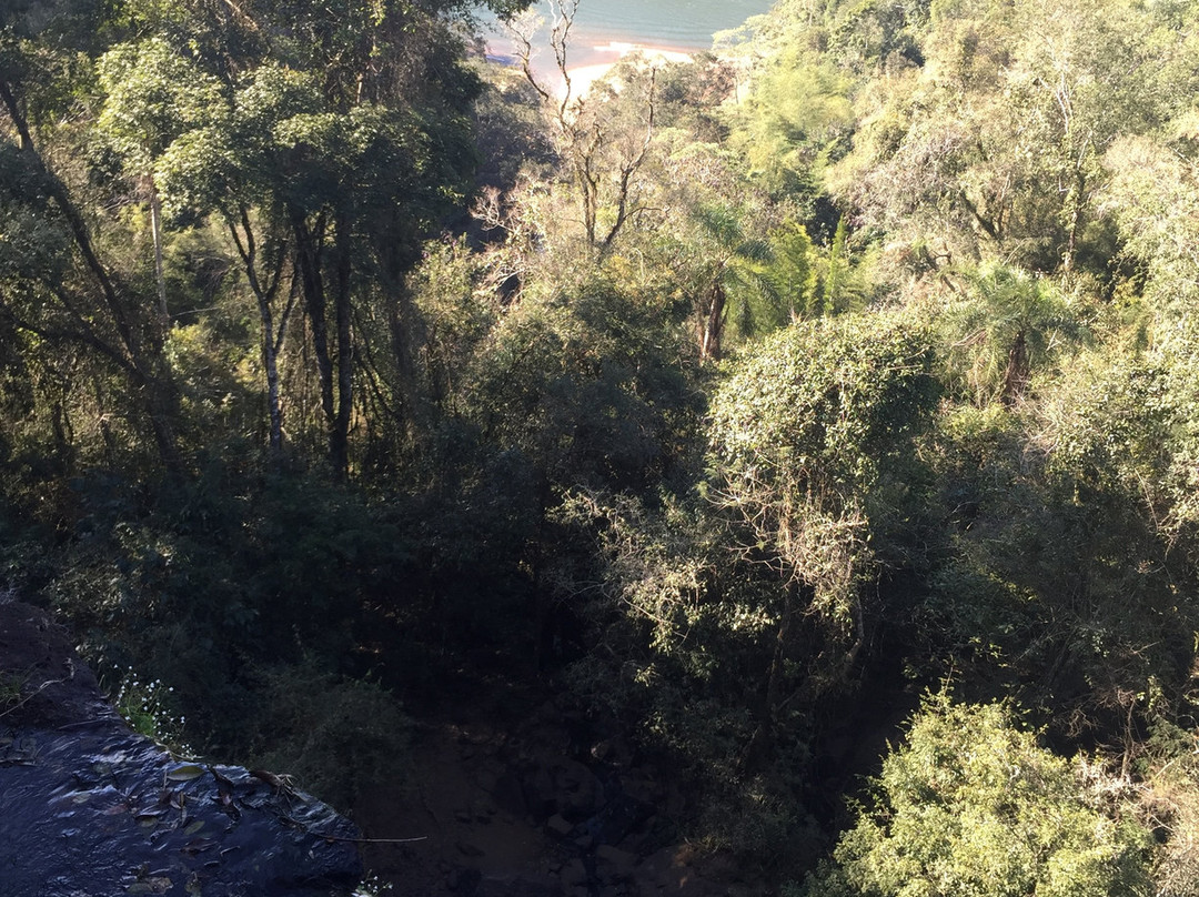 Sendero Macuco-伊瓜苏港必去景点