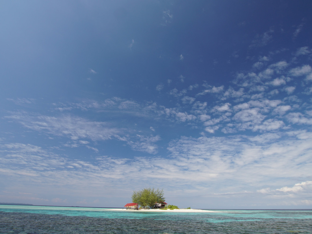 Tinalapu Island景点图片